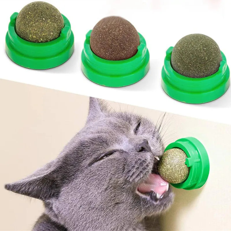 Catnip Wall Ball